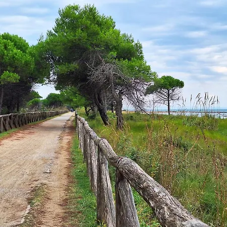 Adorable Cozy Flat For 4 Guests Next To The * Bibione